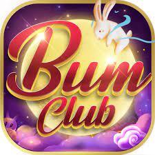 Logo bumvip
